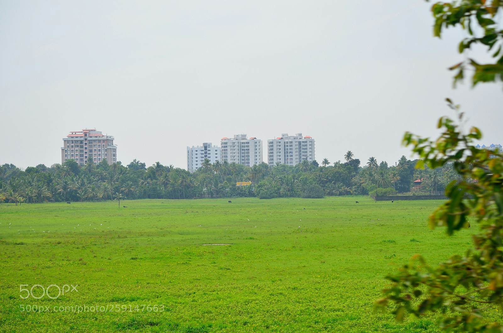Nikon D5100 sample photo. Urban landscape photography