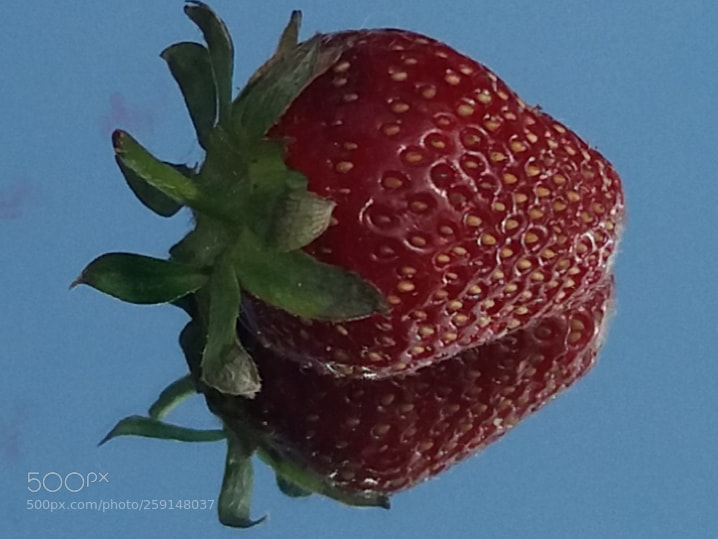 Samsung Galaxy J5(2016) sample photo. Strawberry photography