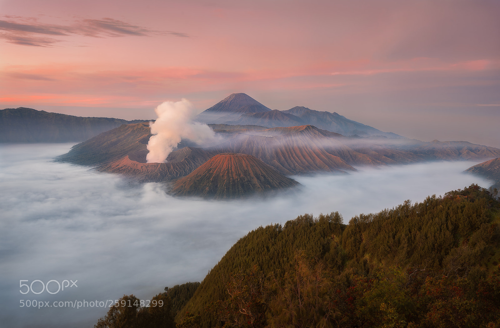 Nikon D750 sample photo. Mount bromo photography