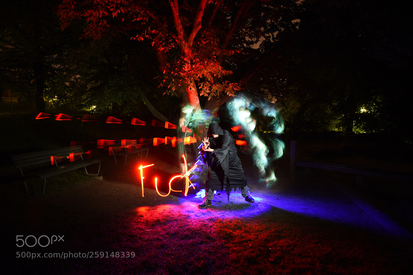 Nikon D750 sample photo. Untitled photography
