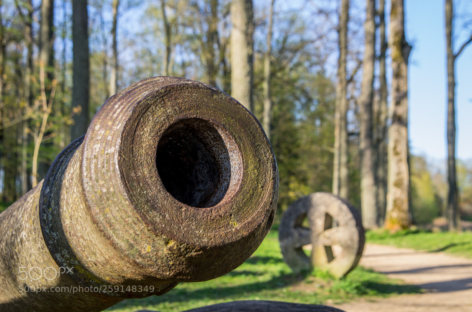 Pentax K-5 sample photo. Old cannon and swedish photography
