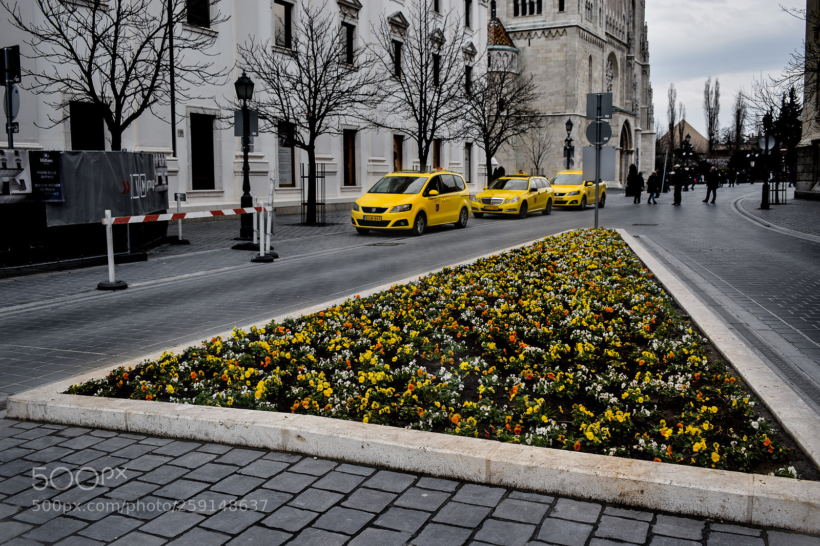 Nikon D5600 sample photo. Taxi. photography