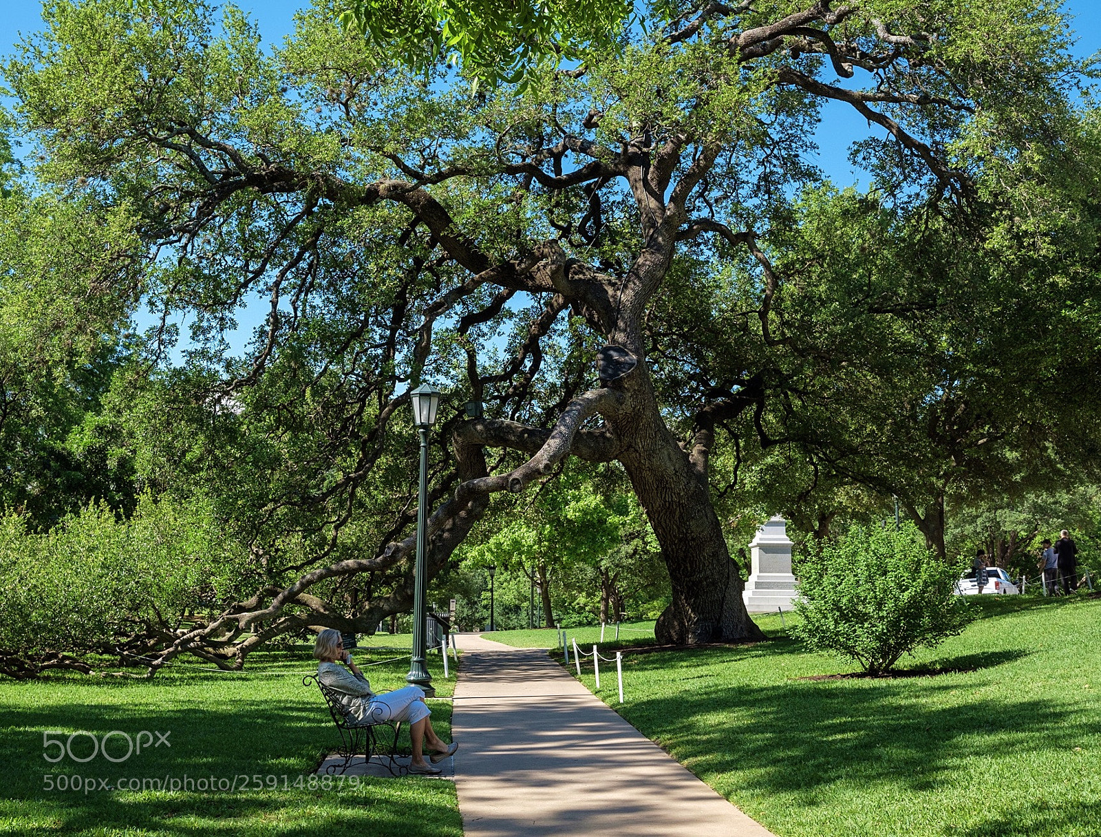 Fujifilm X-T20 sample photo. Resting branches photography