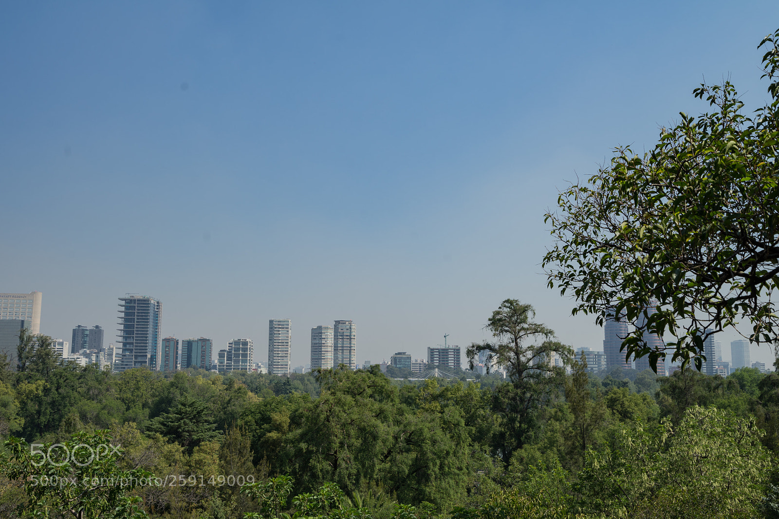 Sony a7 II sample photo. Mexico city skyline from photography