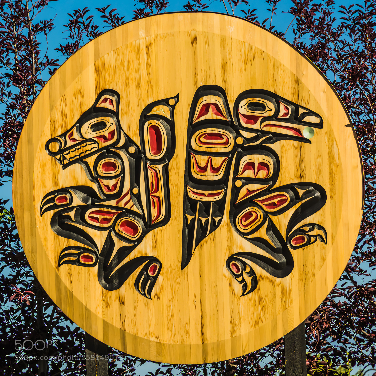 Nikon D5200 sample photo. First nation art photography
