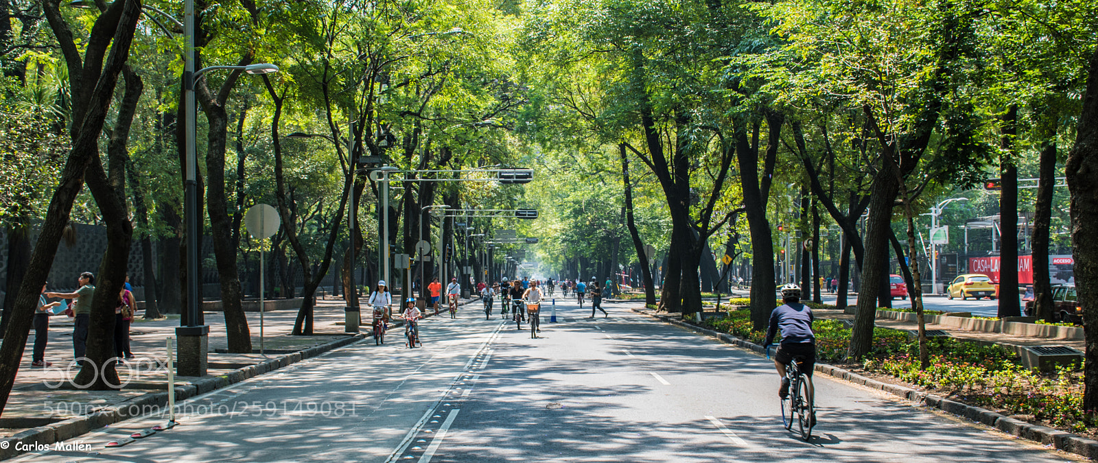 Nikon D5500 sample photo. Paseo dominical - cdmx photography
