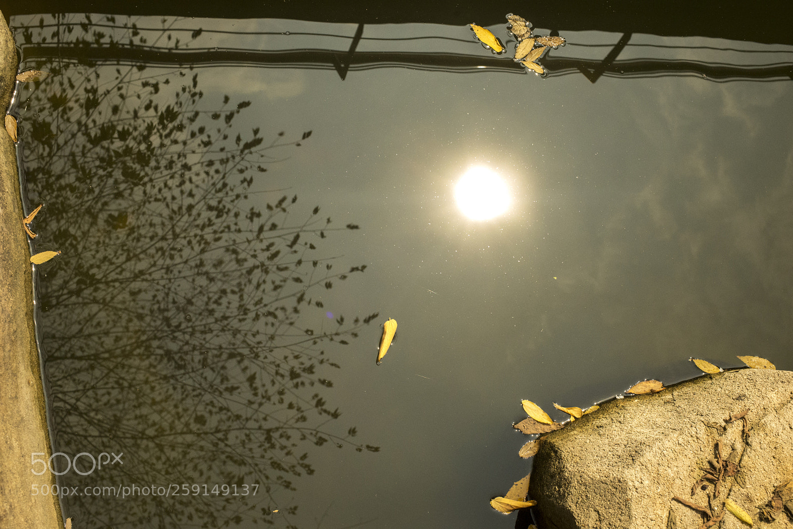Nikon D600 sample photo. The fifth element photography