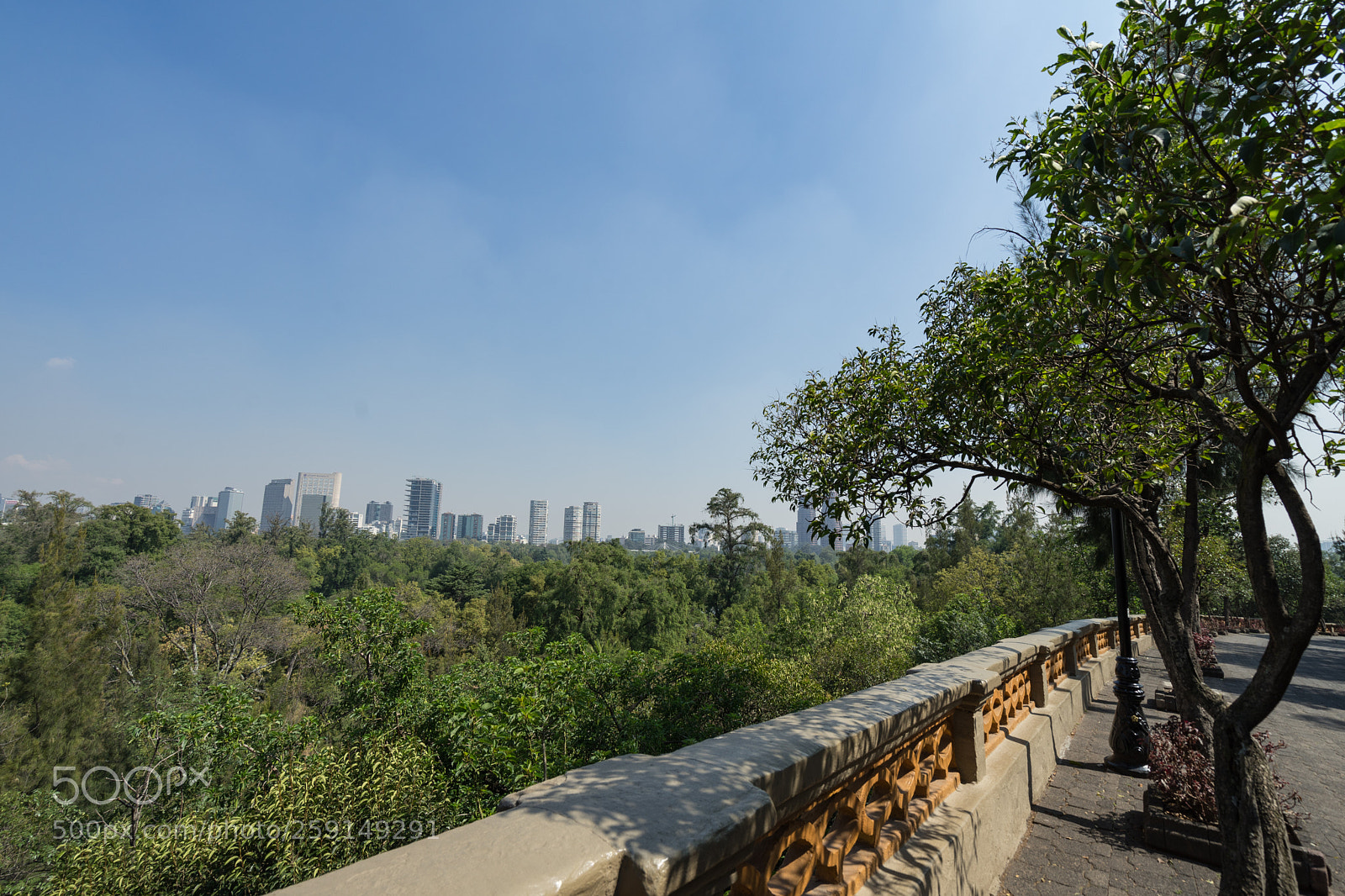 Sony a7 II sample photo. Mexico city skyline chapultepec photography