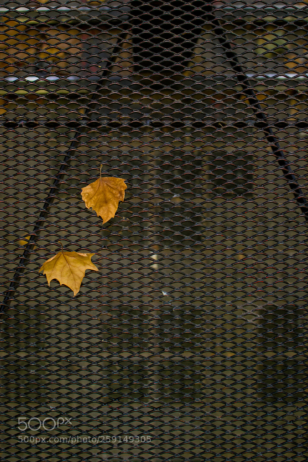 Nikon D3100 sample photo. From above photography