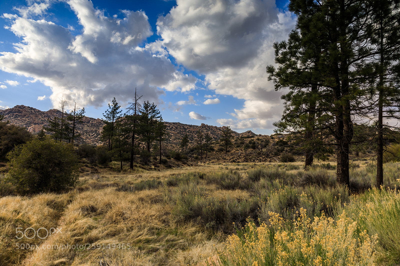 Canon EOS 5D Mark IV sample photo. Lake arrowhead, california 3543 photography
