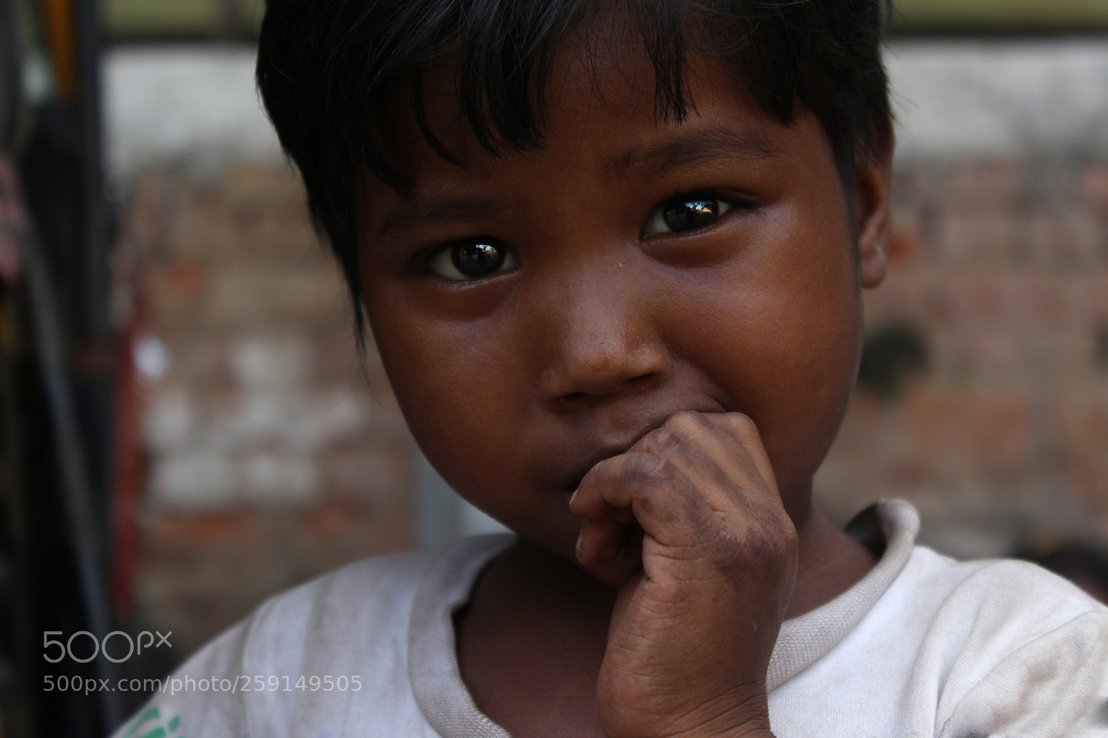 Canon EOS 700D (EOS Rebel T5i / EOS Kiss X7i) sample photo. Magical eyes photography