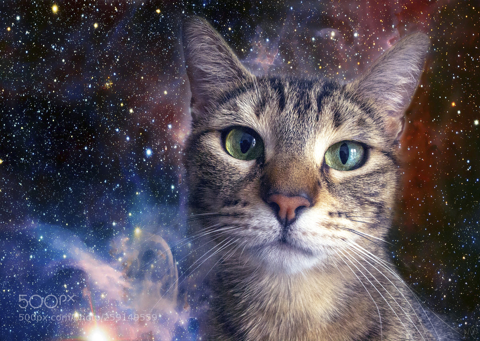 Nikon D3100 sample photo. Digital manipulation photography