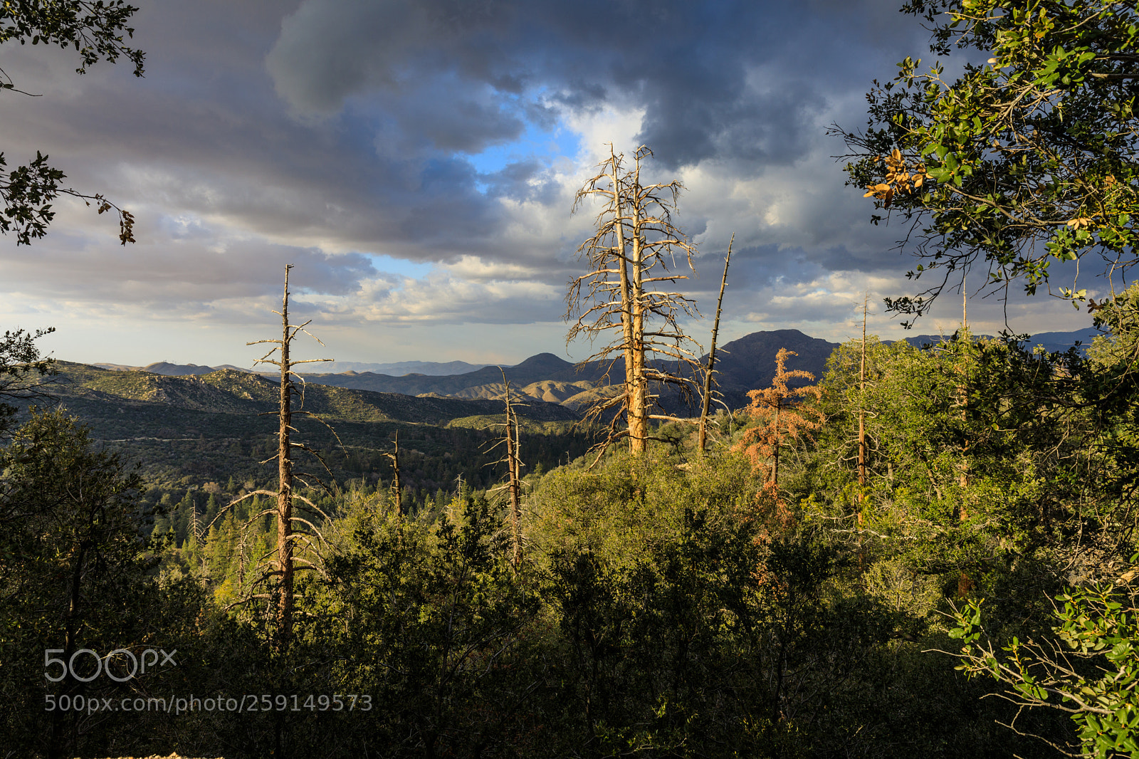 Canon EOS 5D Mark IV sample photo. Lake arrowhead, california 3600 photography