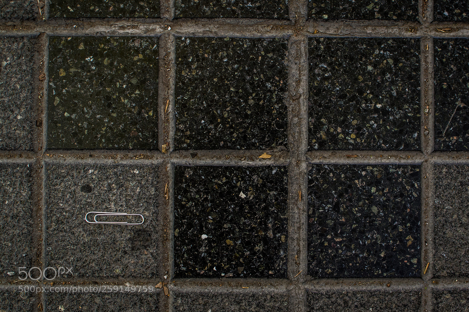 Nikon D3100 sample photo. Clip on the floor photography