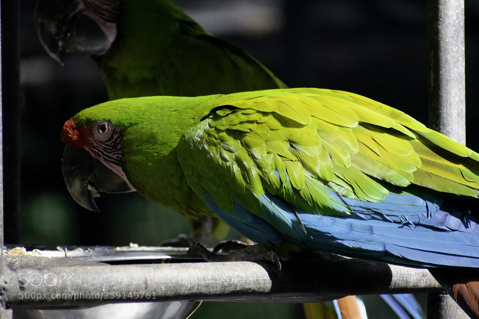 Nikon D3400 sample photo. Lunch time photography