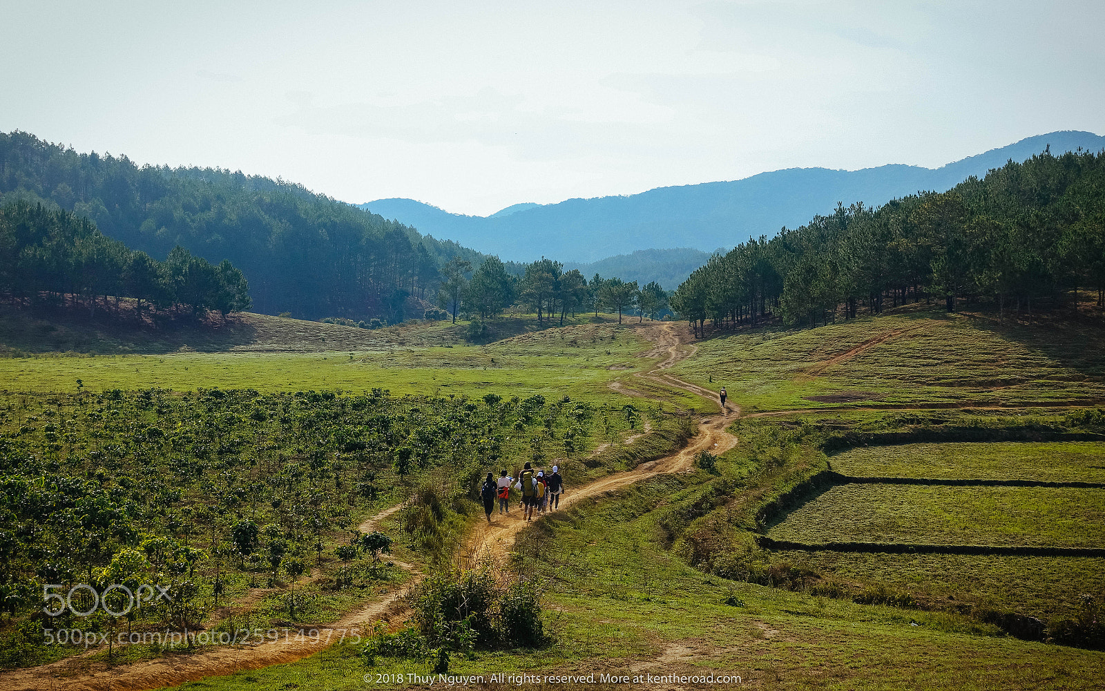 Sony DSC-RX100M5 sample photo. Ta nang - phan photography