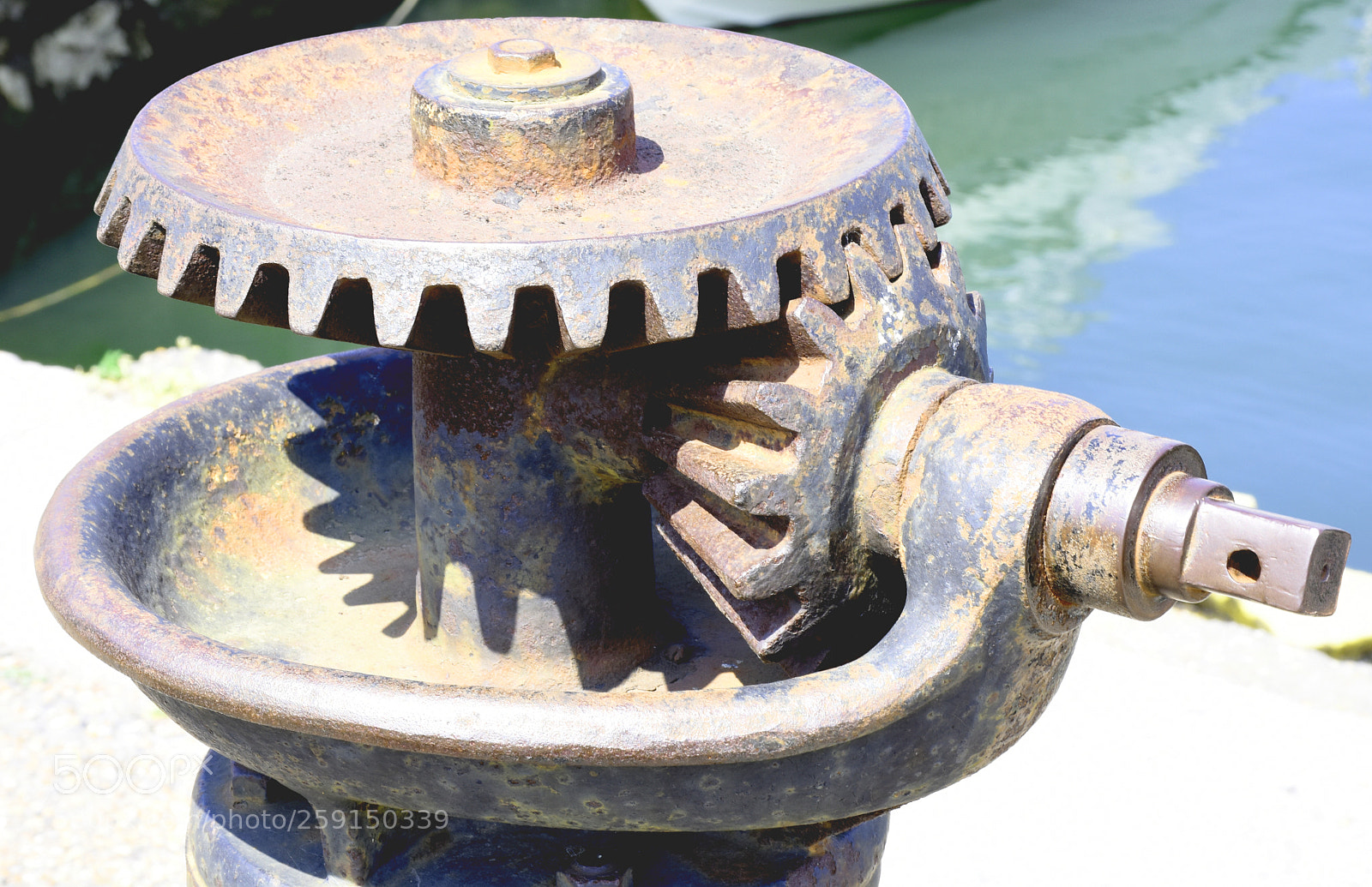 Nikon D7200 sample photo. Honfleur teamwork photography