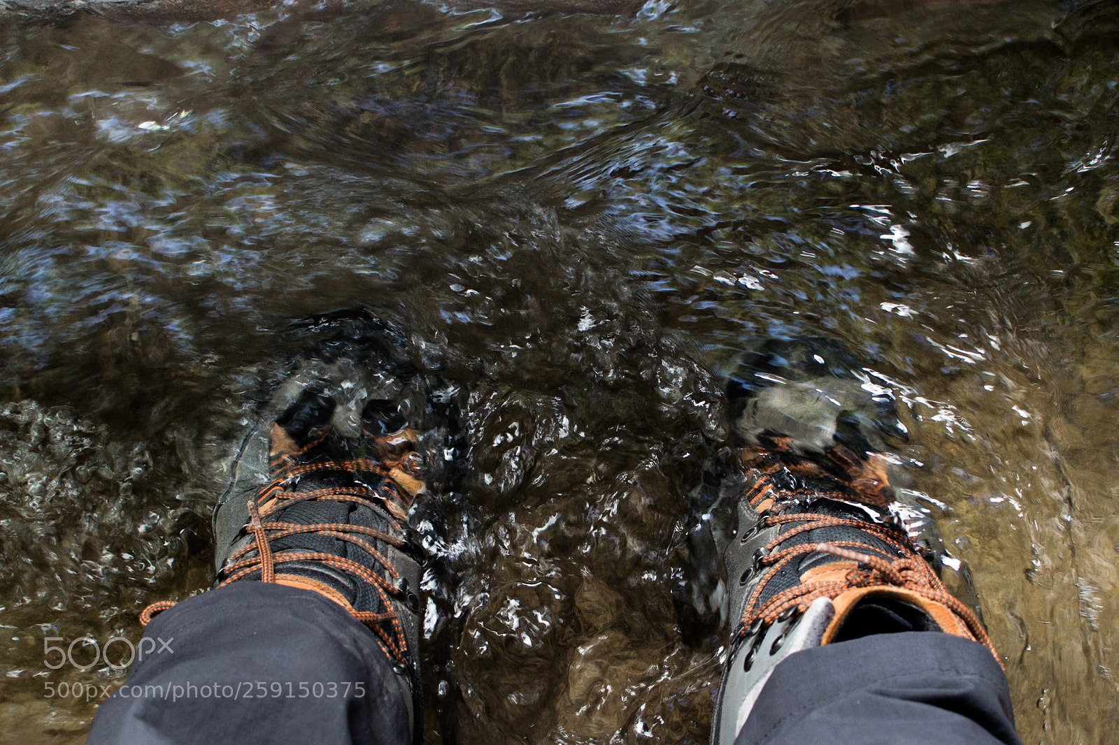 Nikon D3100 sample photo. Water resistant photography