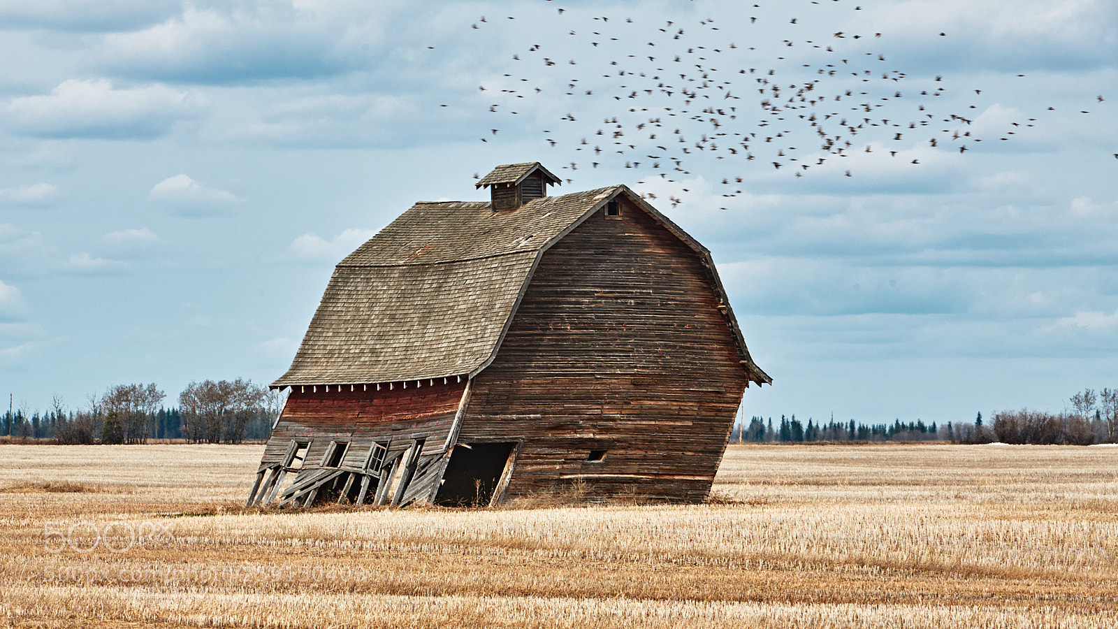Nikon D850 sample photo. Leaning barn photography