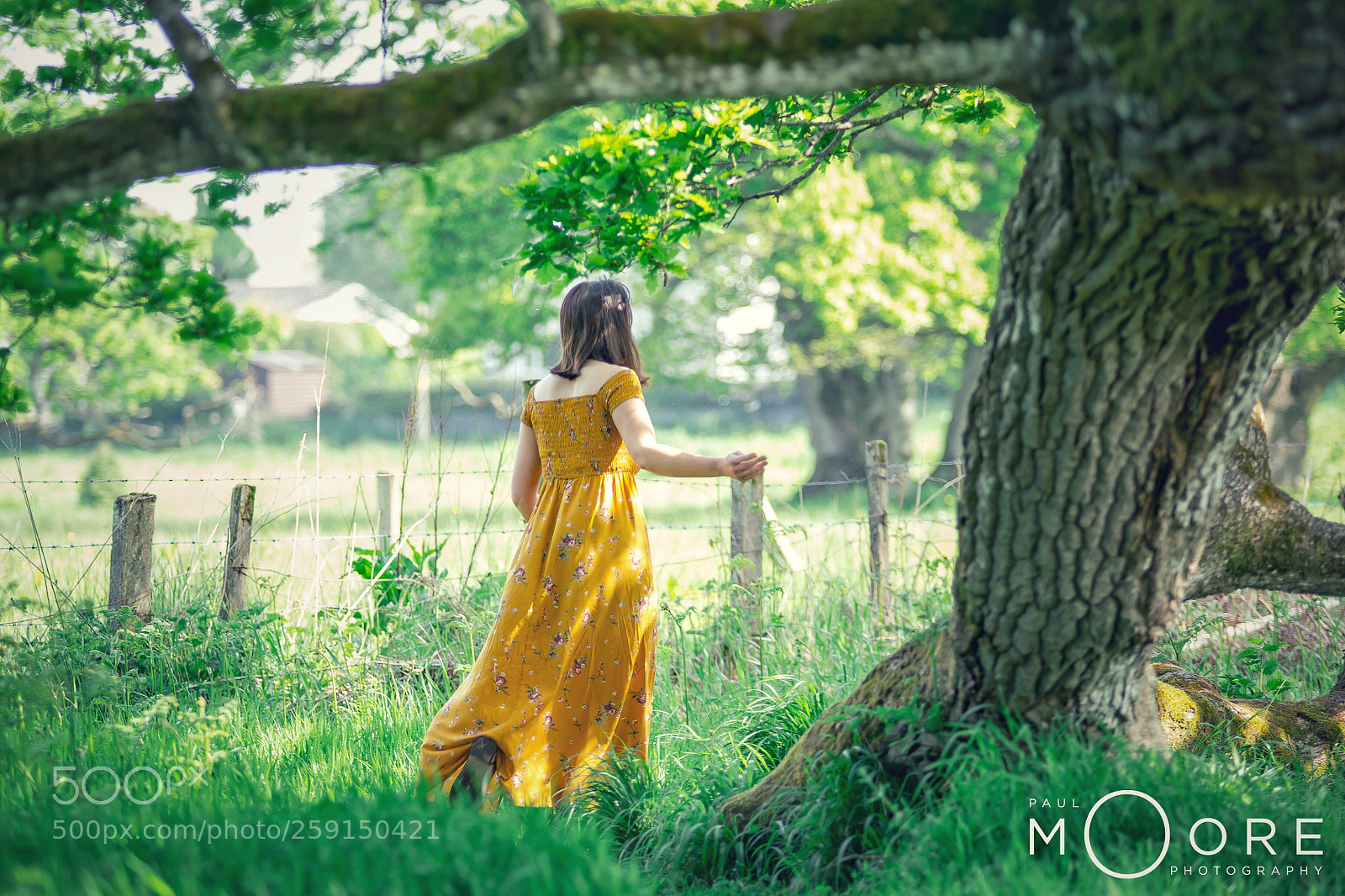 Canon EOS 6D sample photo. A walk in the photography