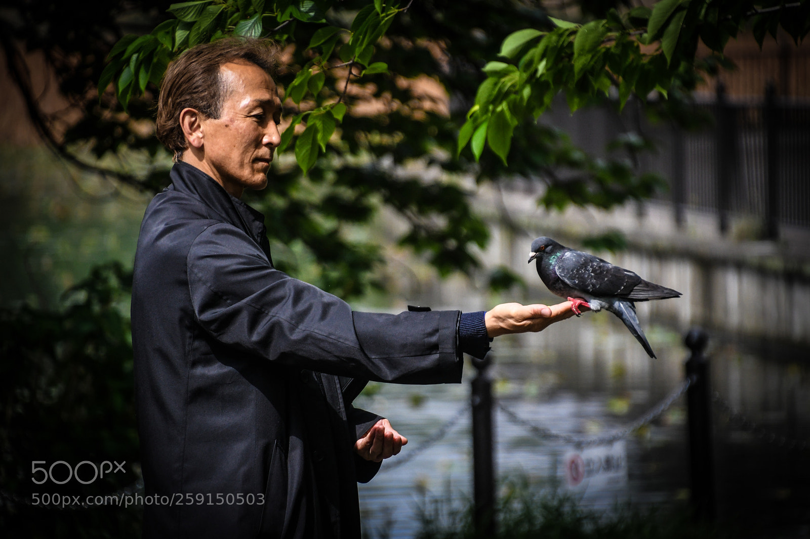 Nikon D7500 sample photo. Feeding the birds photography