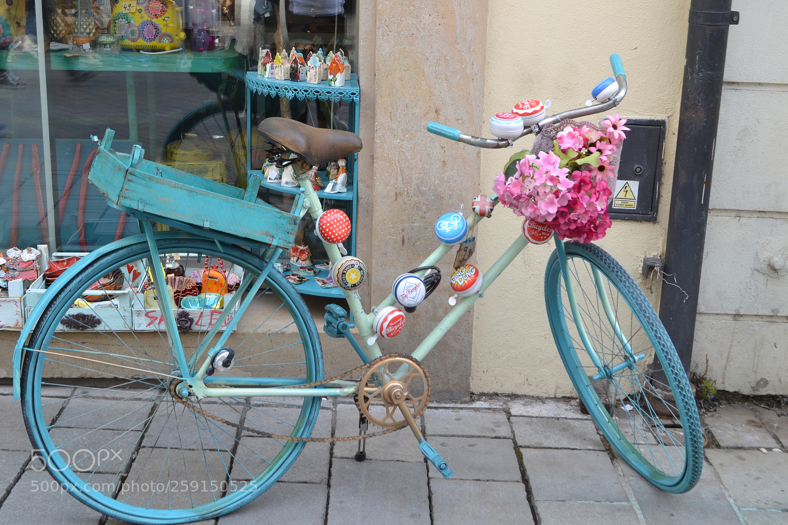 Nikon D3100 sample photo. Tring tring photography
