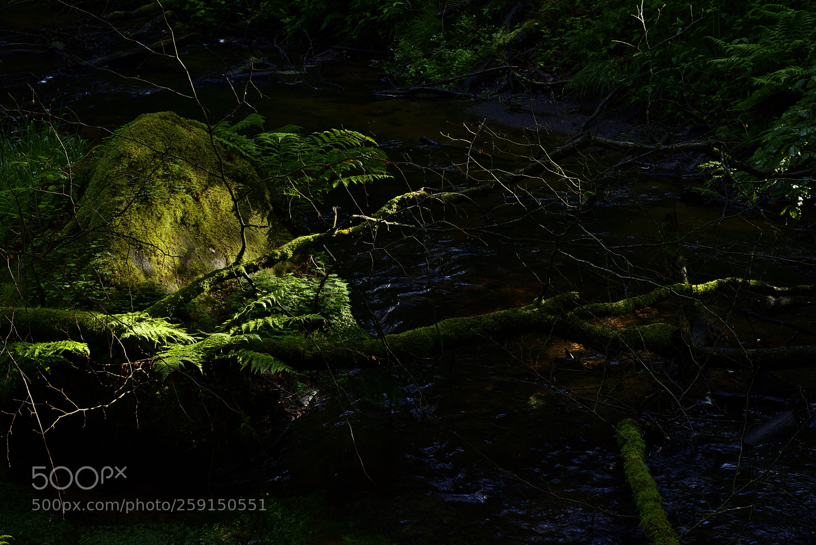 Nikon D750 sample photo. Creek36 photography