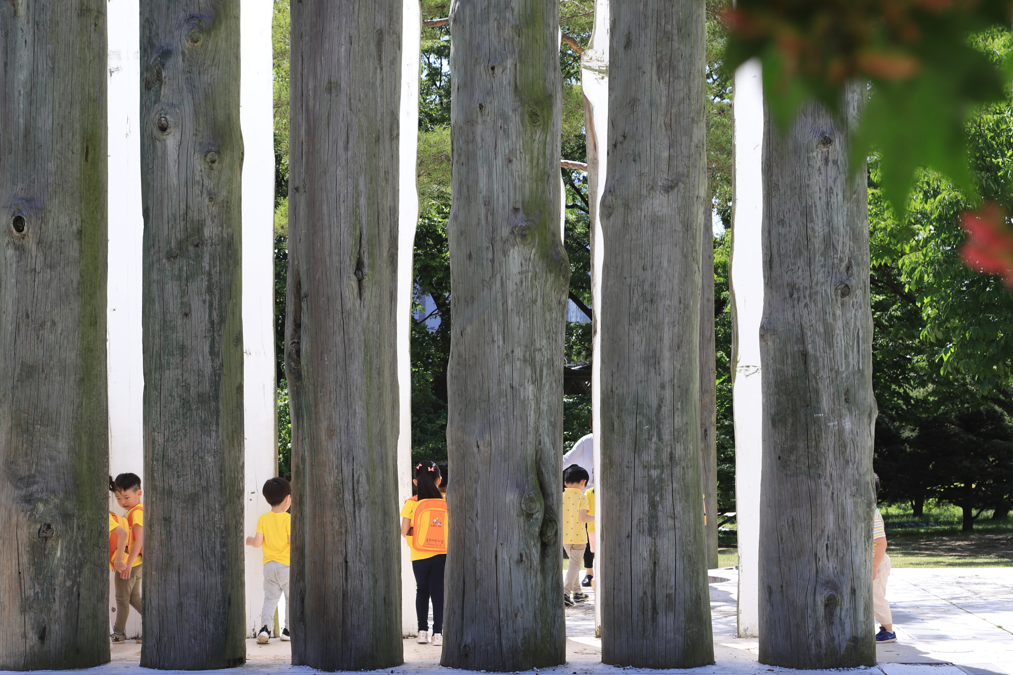 Canon EOS 6D Mark II sample photo. Pillar photography