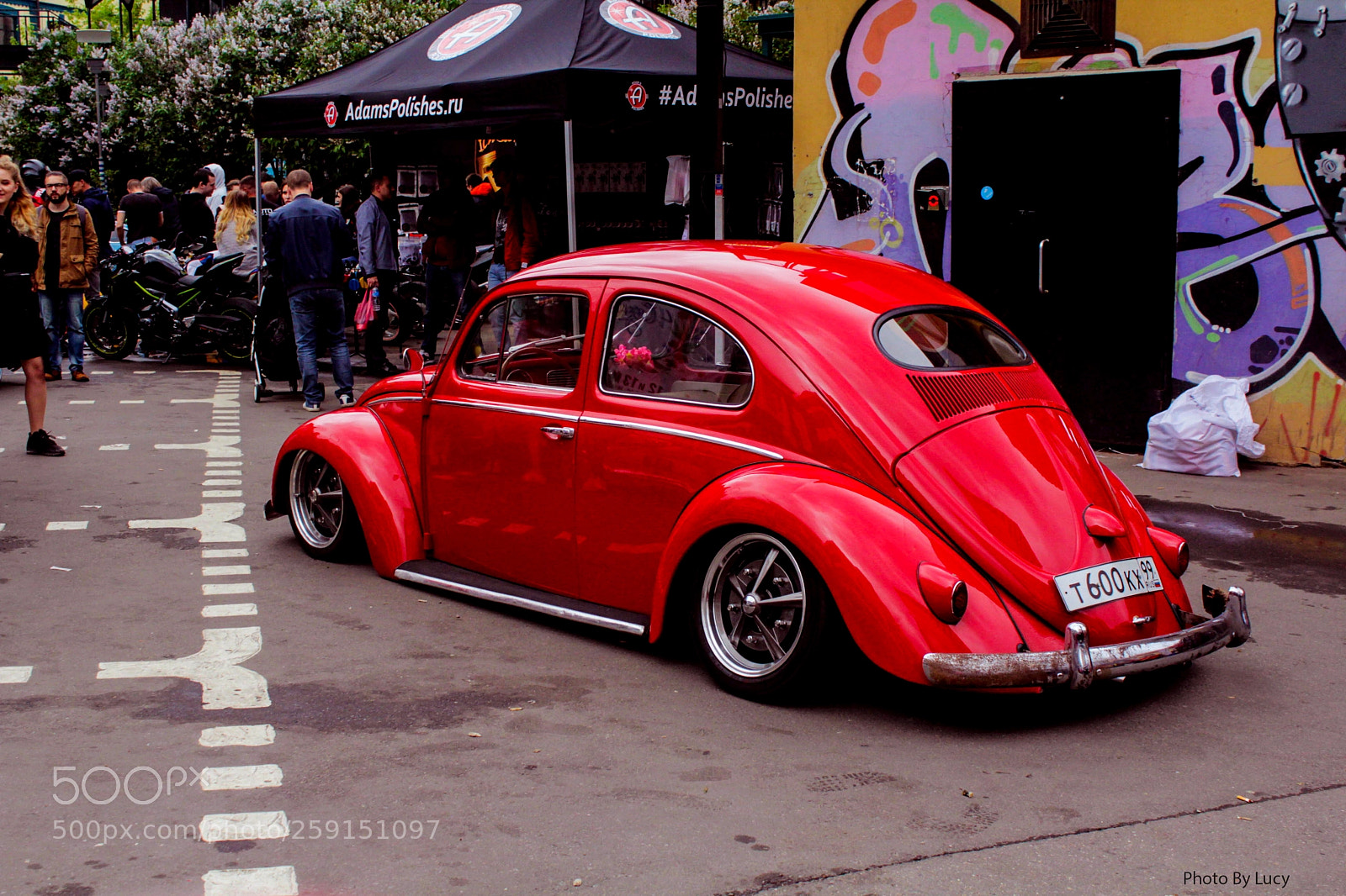 Canon EOS 60D sample photo. Mg photography