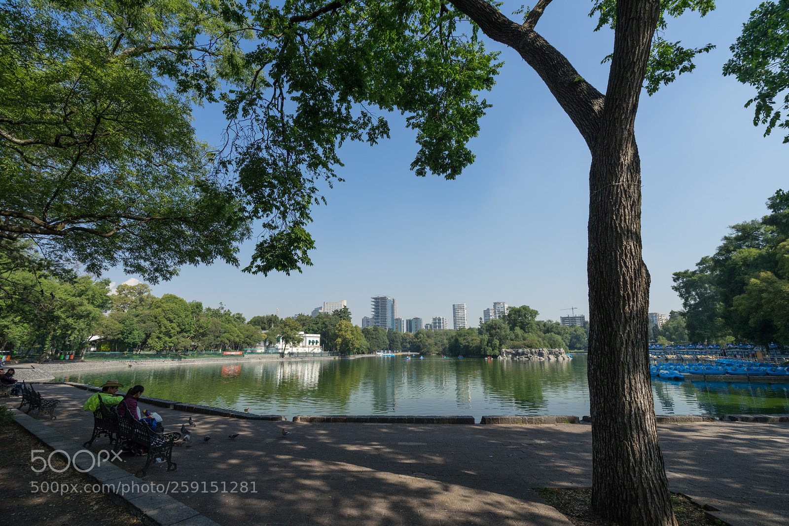 Sony a7 II sample photo. Chapultepec lake photography