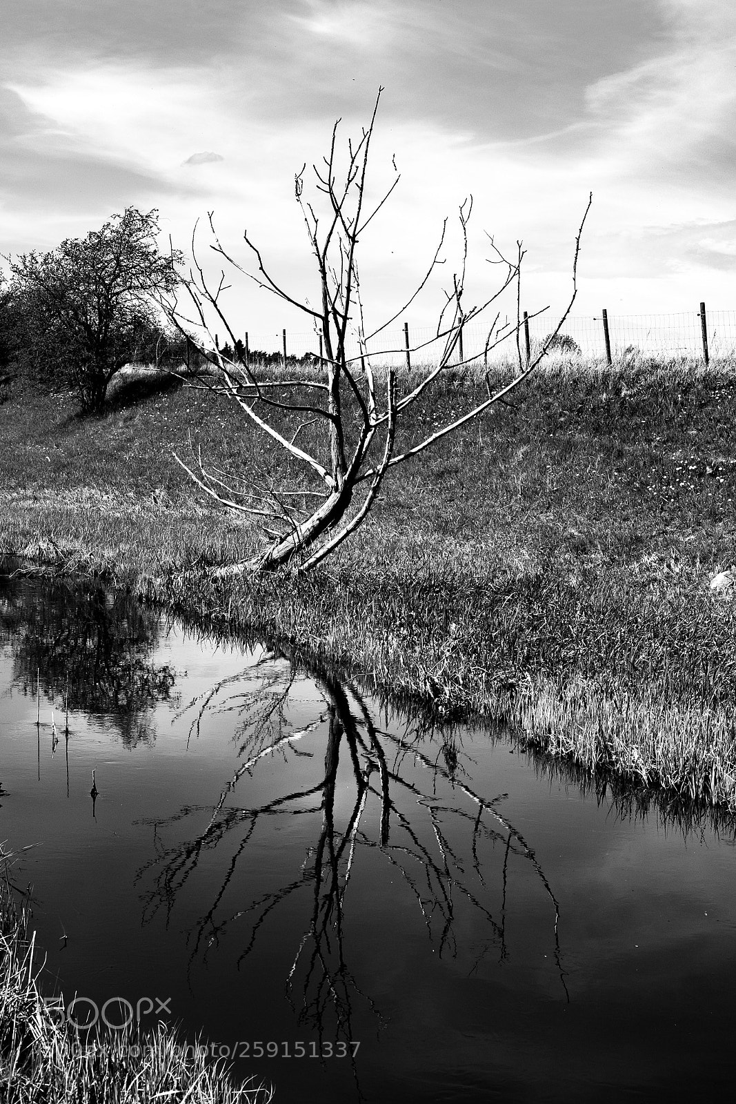 Fujifilm X-T1 sample photo. Reflection photography