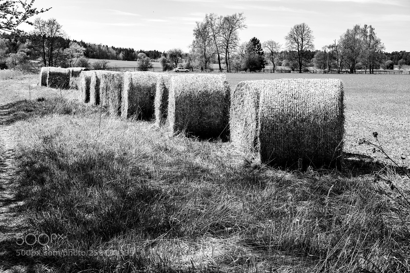 Fujifilm X-T1 sample photo. Hay photography