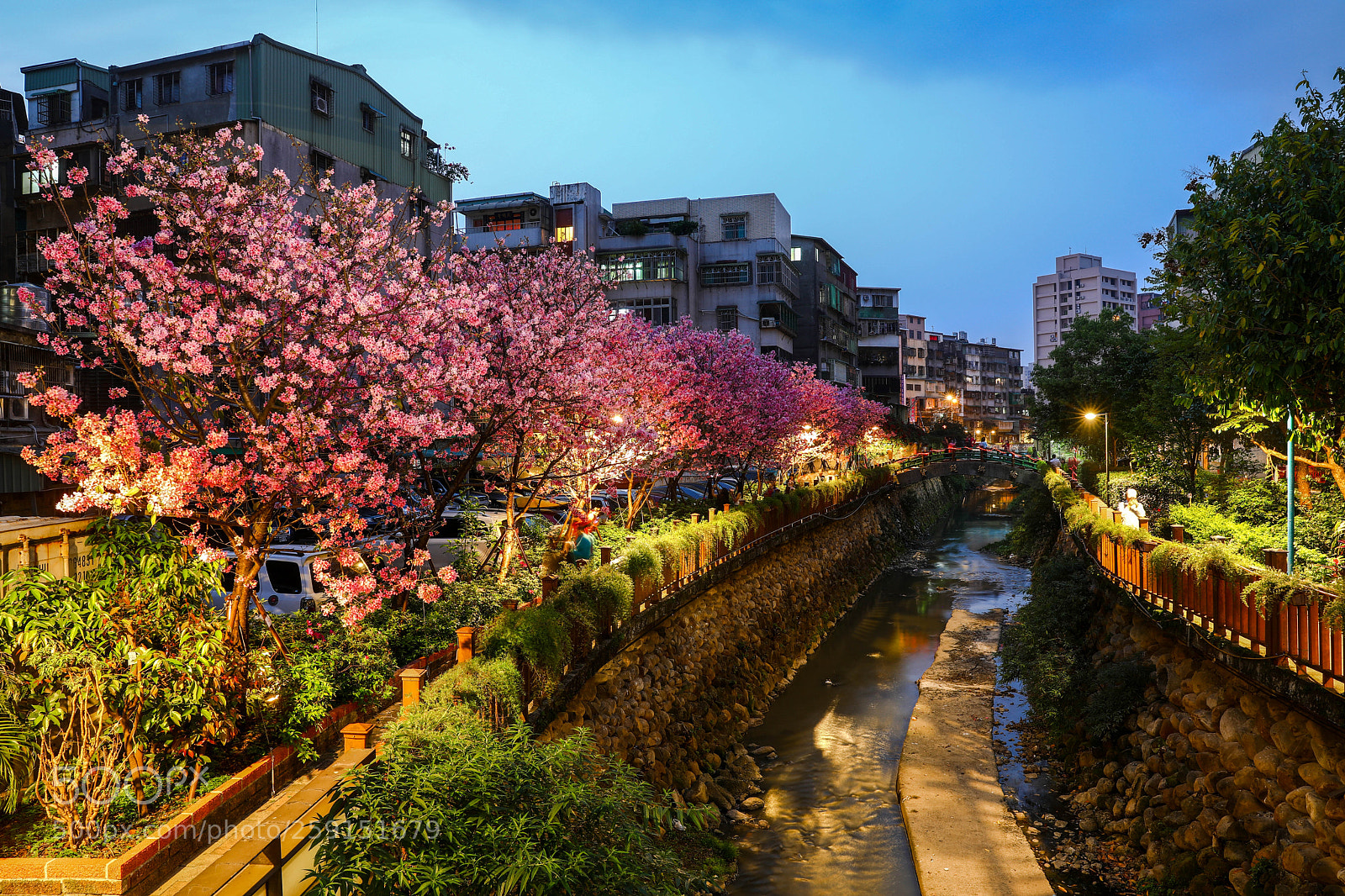 Canon EOS 5D Mark IV sample photo. 希望之河 photography