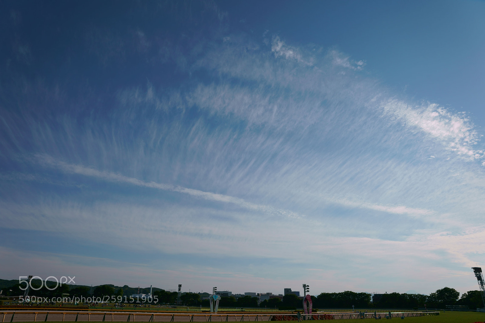 Sony a9 sample photo. Tokyo race course photography