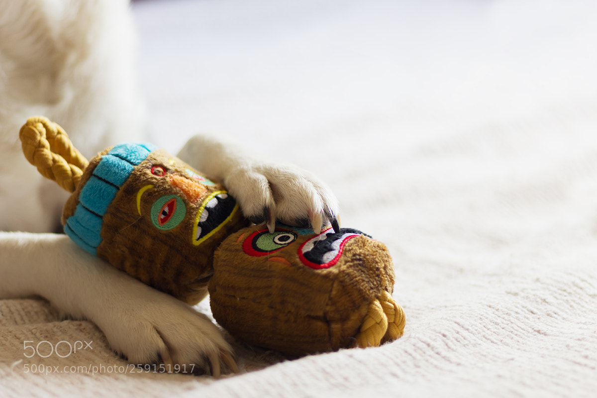 Canon EOS 700D (EOS Rebel T5i / EOS Kiss X7i) sample photo. My toy photography
