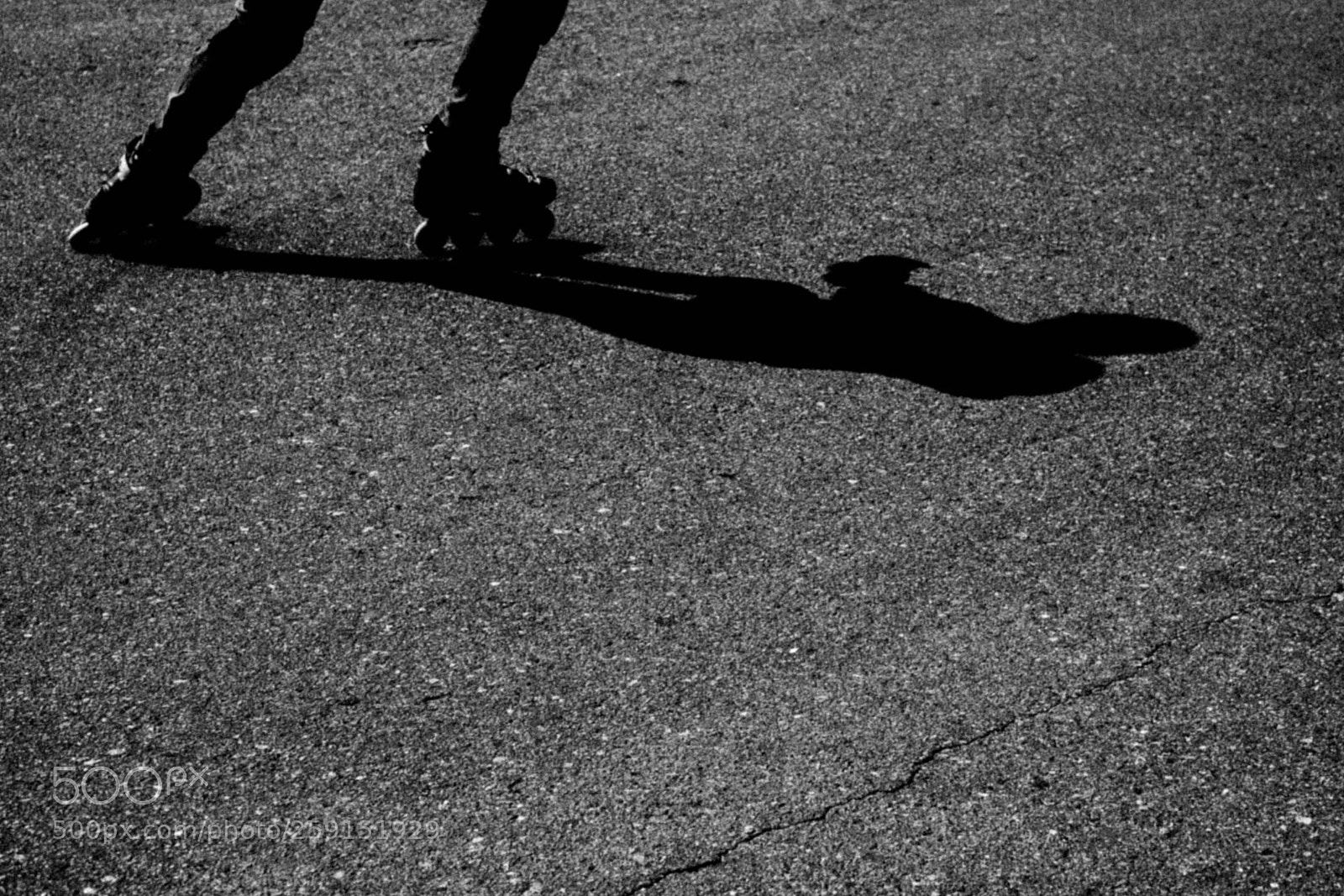 Canon EOS 5D sample photo. Untitled photography