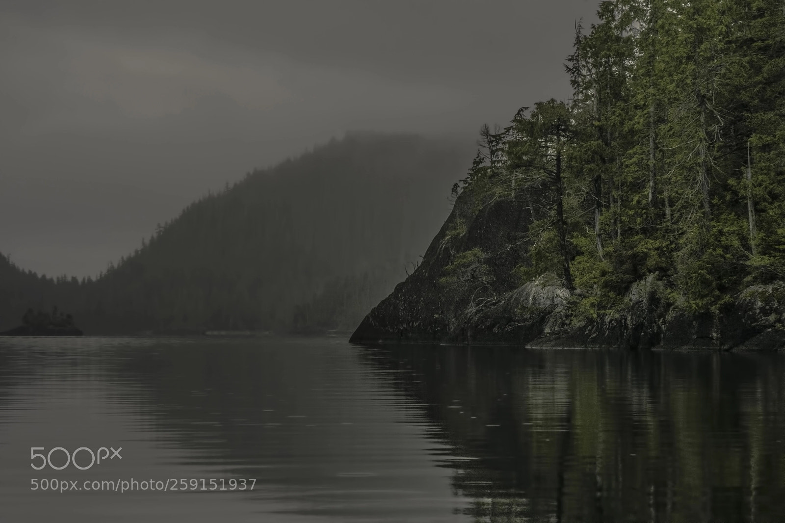 Sony a7R sample photo. Subdued photography