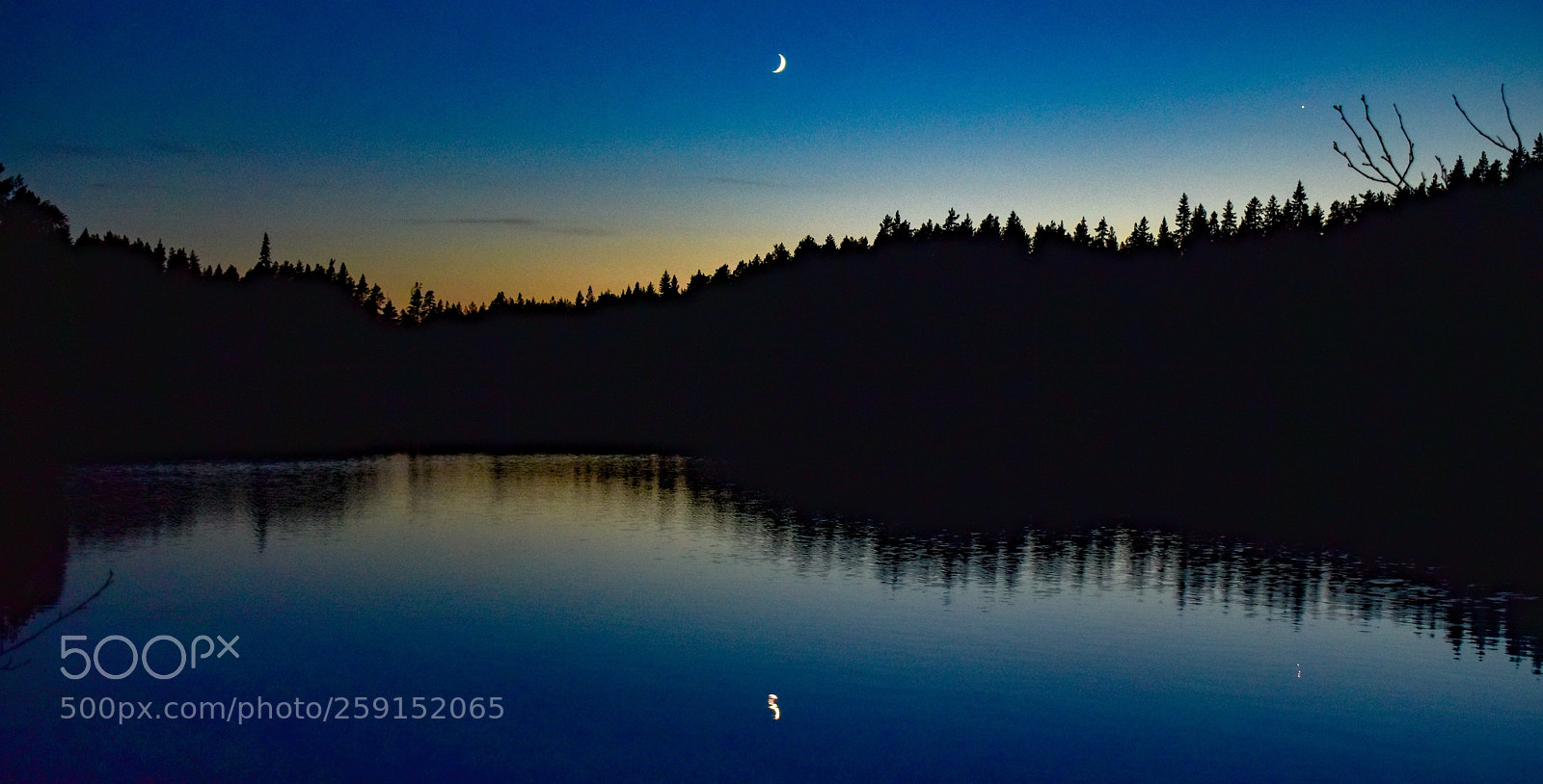 Nikon D5600 sample photo. Reflected moon photography
