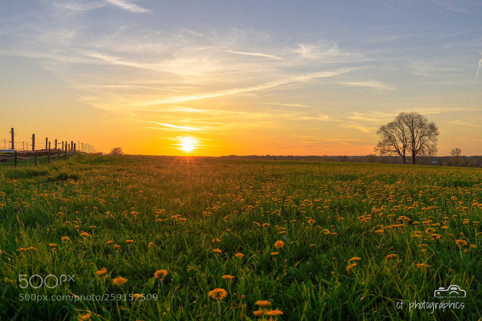Canon EOS 6D Mark II sample photo. Sonnenuntergang im löwenzahnfeld photography