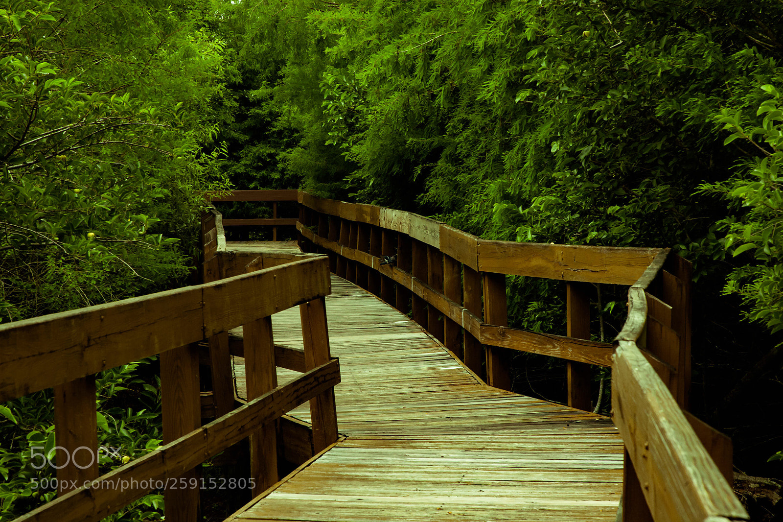Canon EOS 5D sample photo. Untitled photography