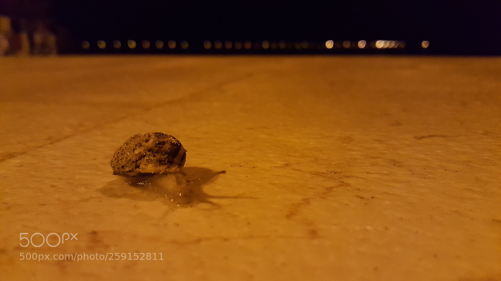 Samsung Galaxy S6 sample photo. Untitled photography
