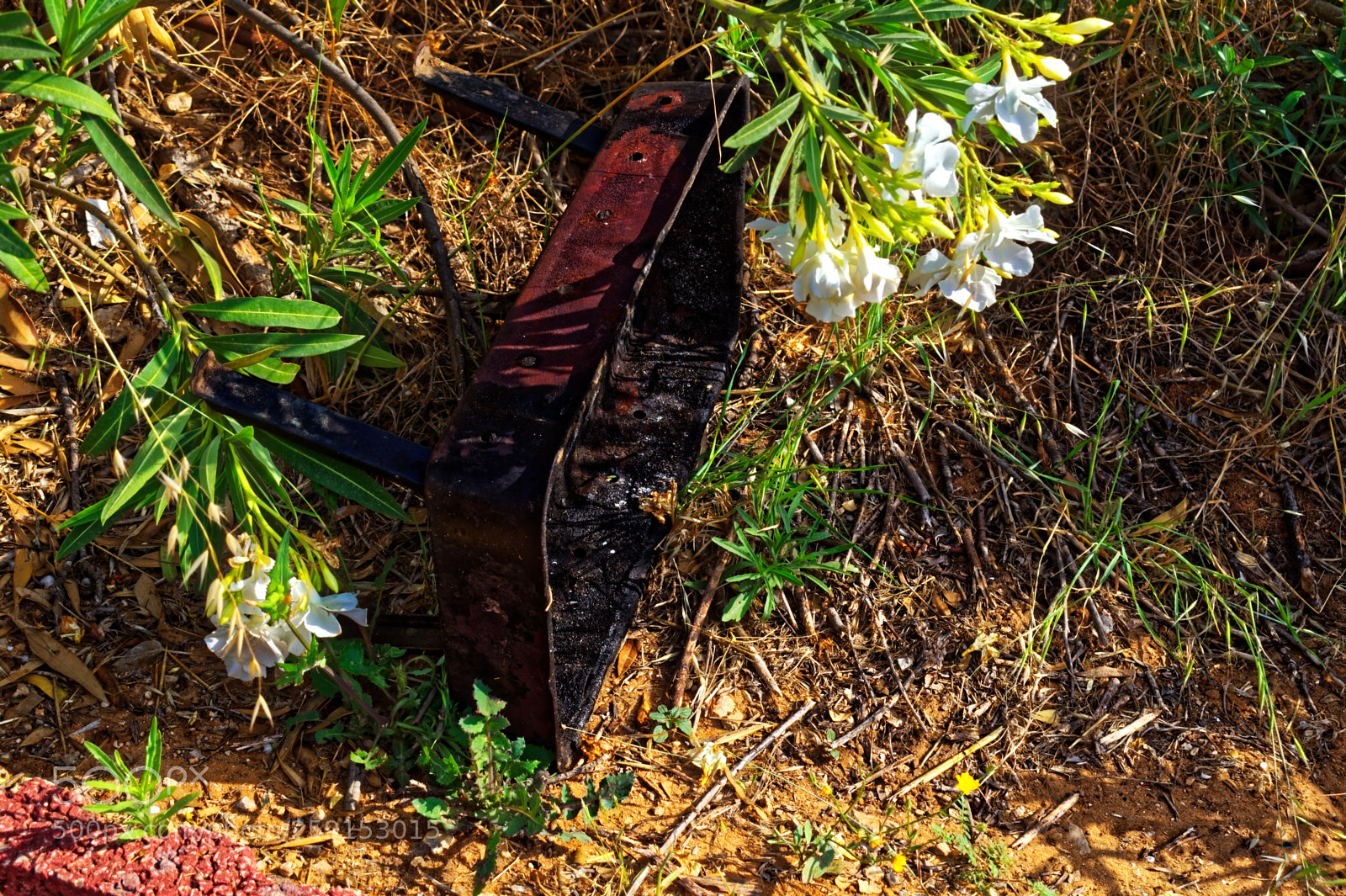 Nikon D5300 sample photo. Old abandoned mobile grill photography