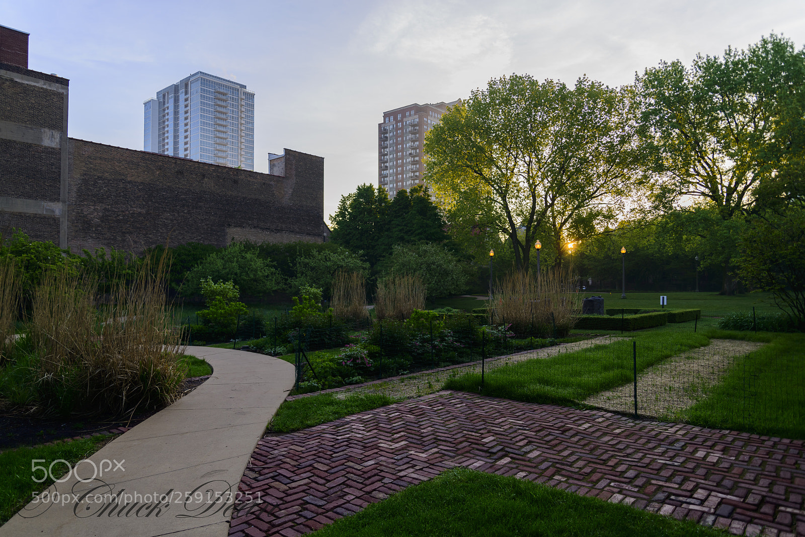 Nikon D800E sample photo. Urban retreat photography