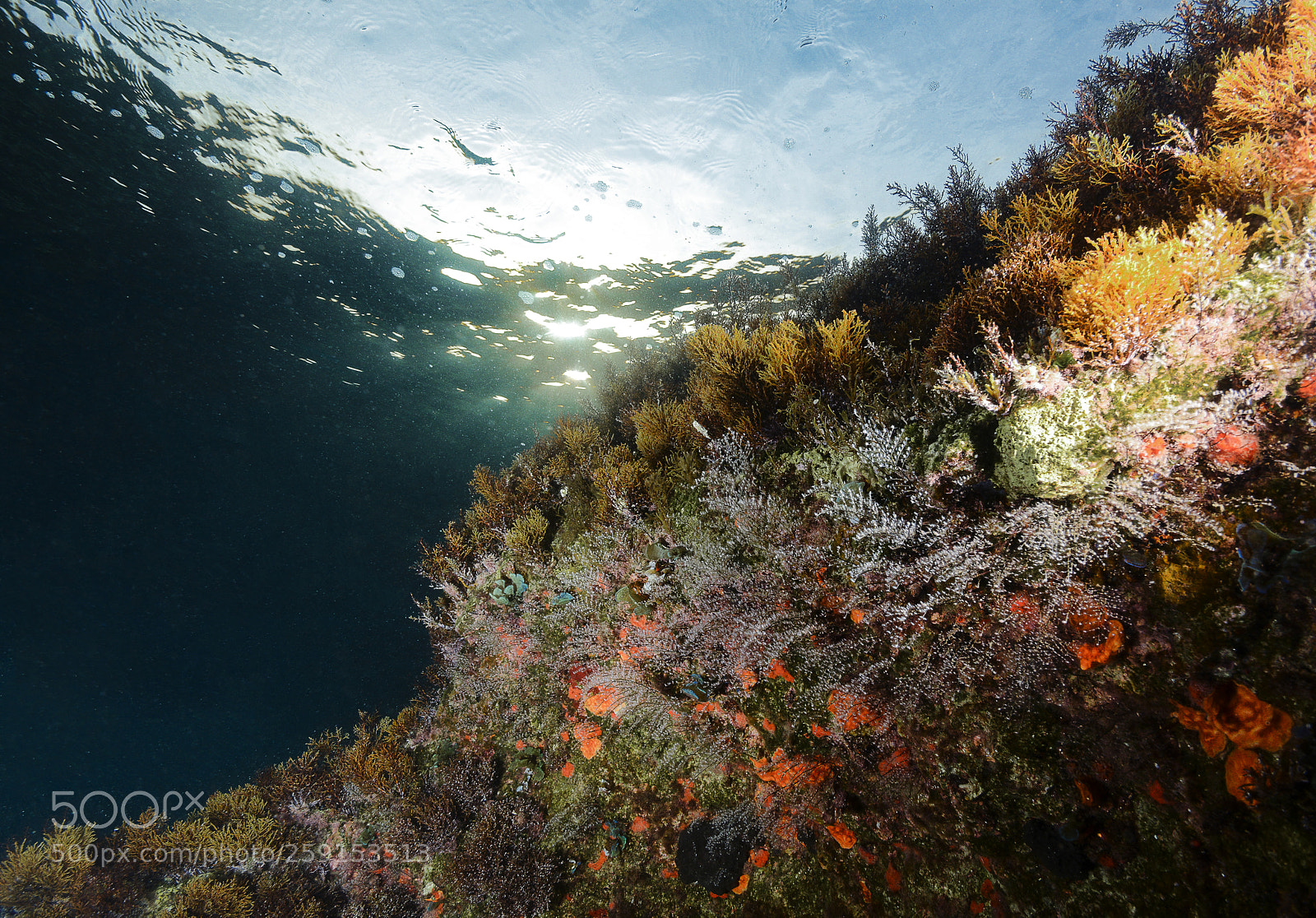 Nikon D800E sample photo. Mediterranean paradise photography