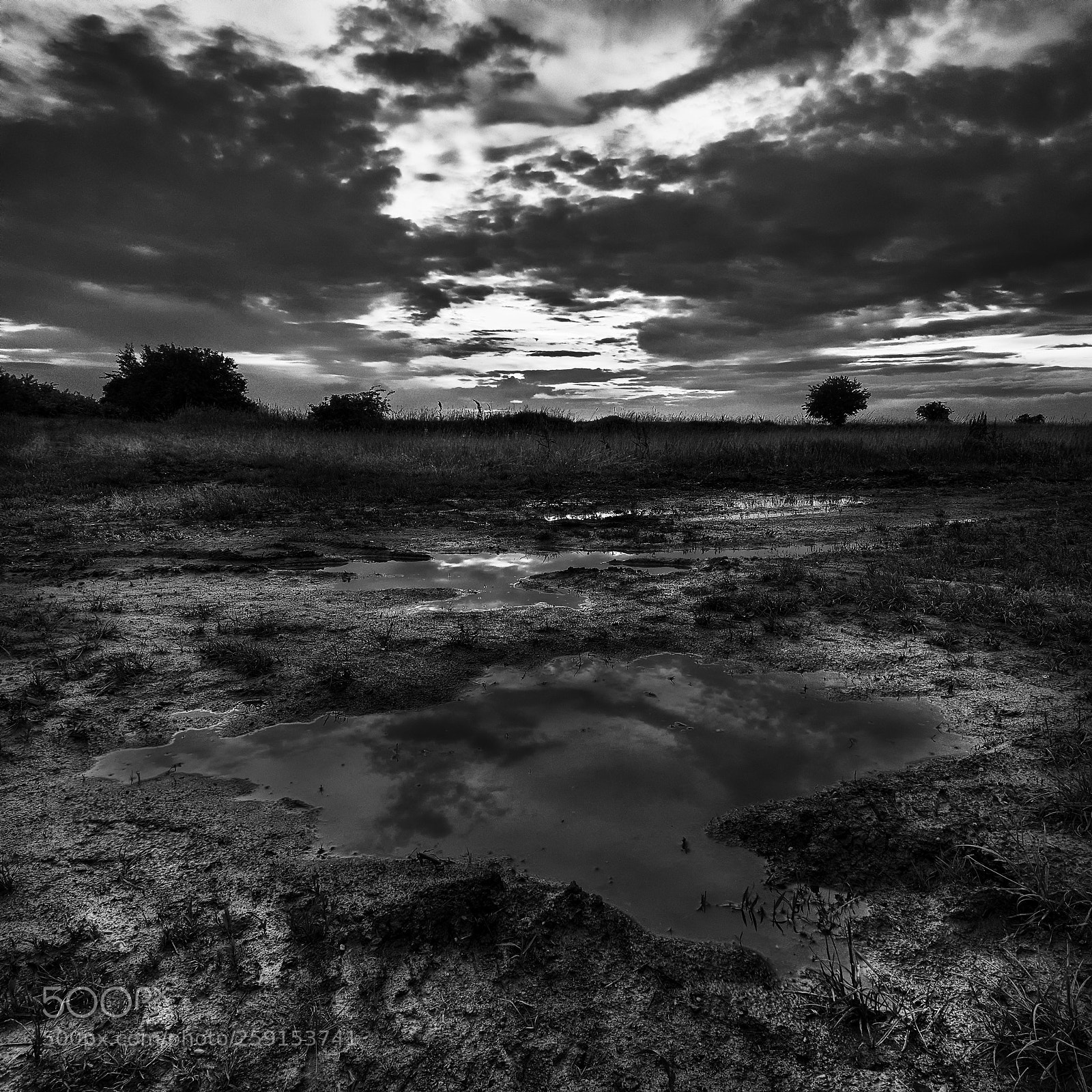Nikon D7200 sample photo. Sea of mud photography