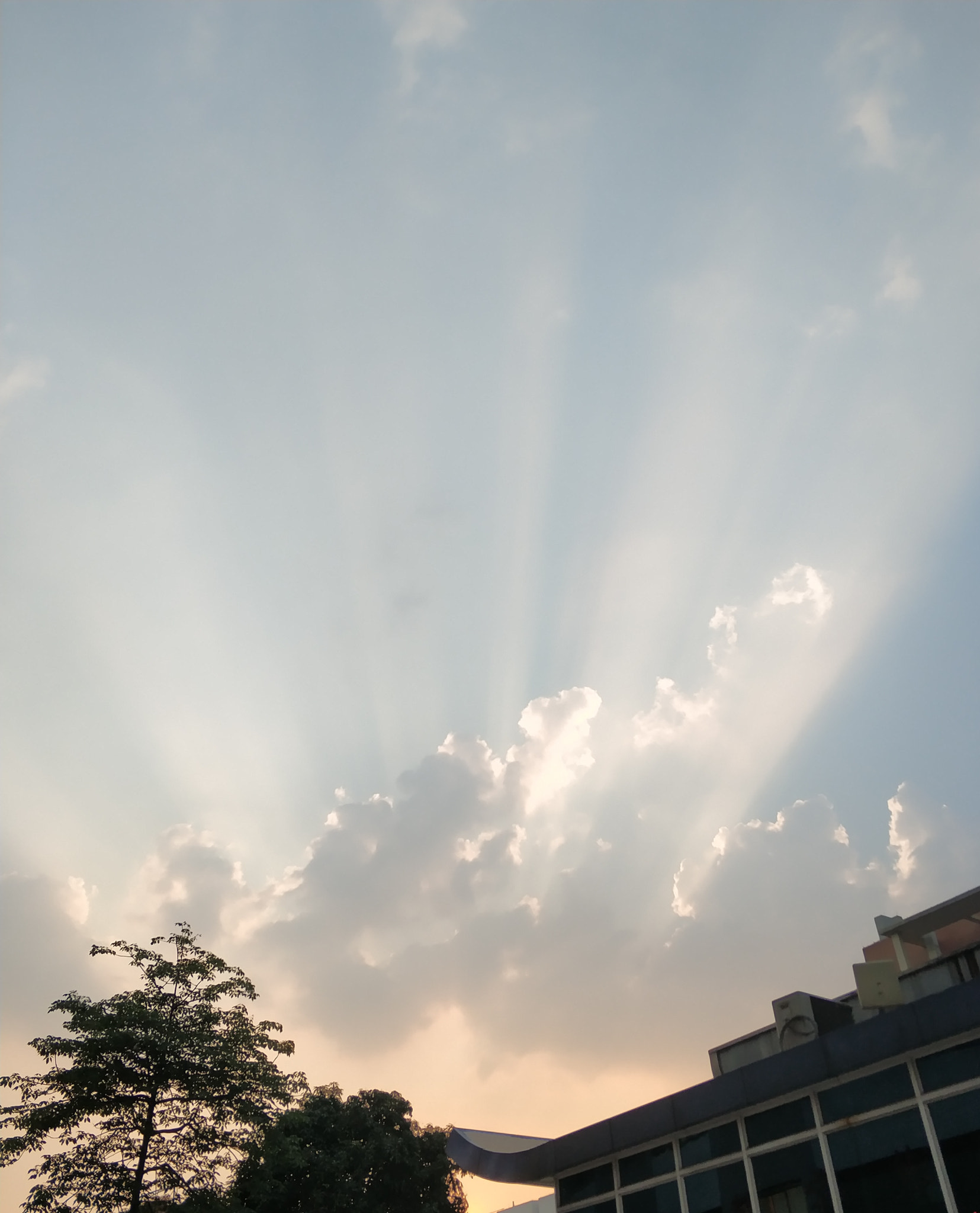 Xiaomi Mi Note 3 sample photo. Untitled photography
