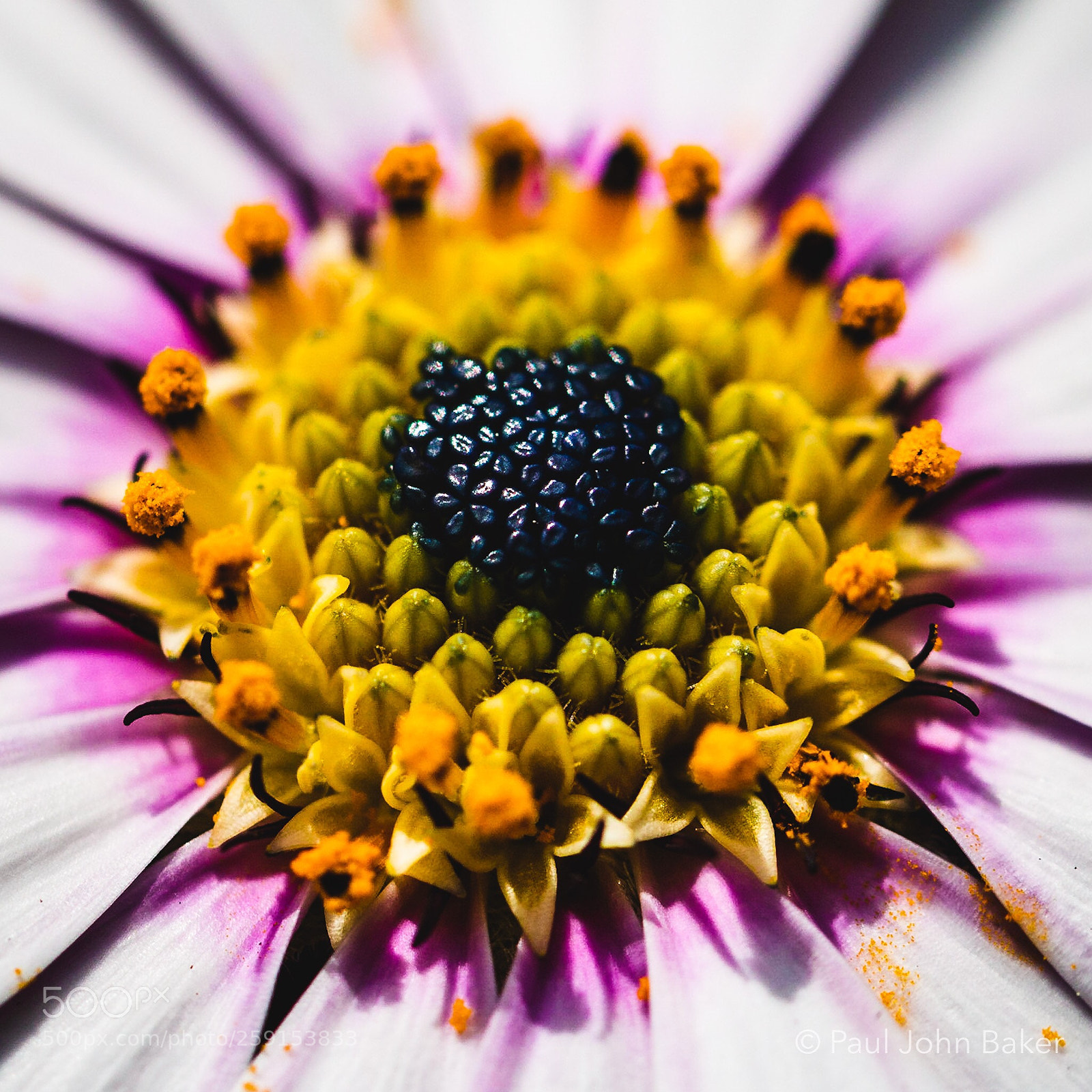 Canon EOS 70D sample photo. The mother ship photography