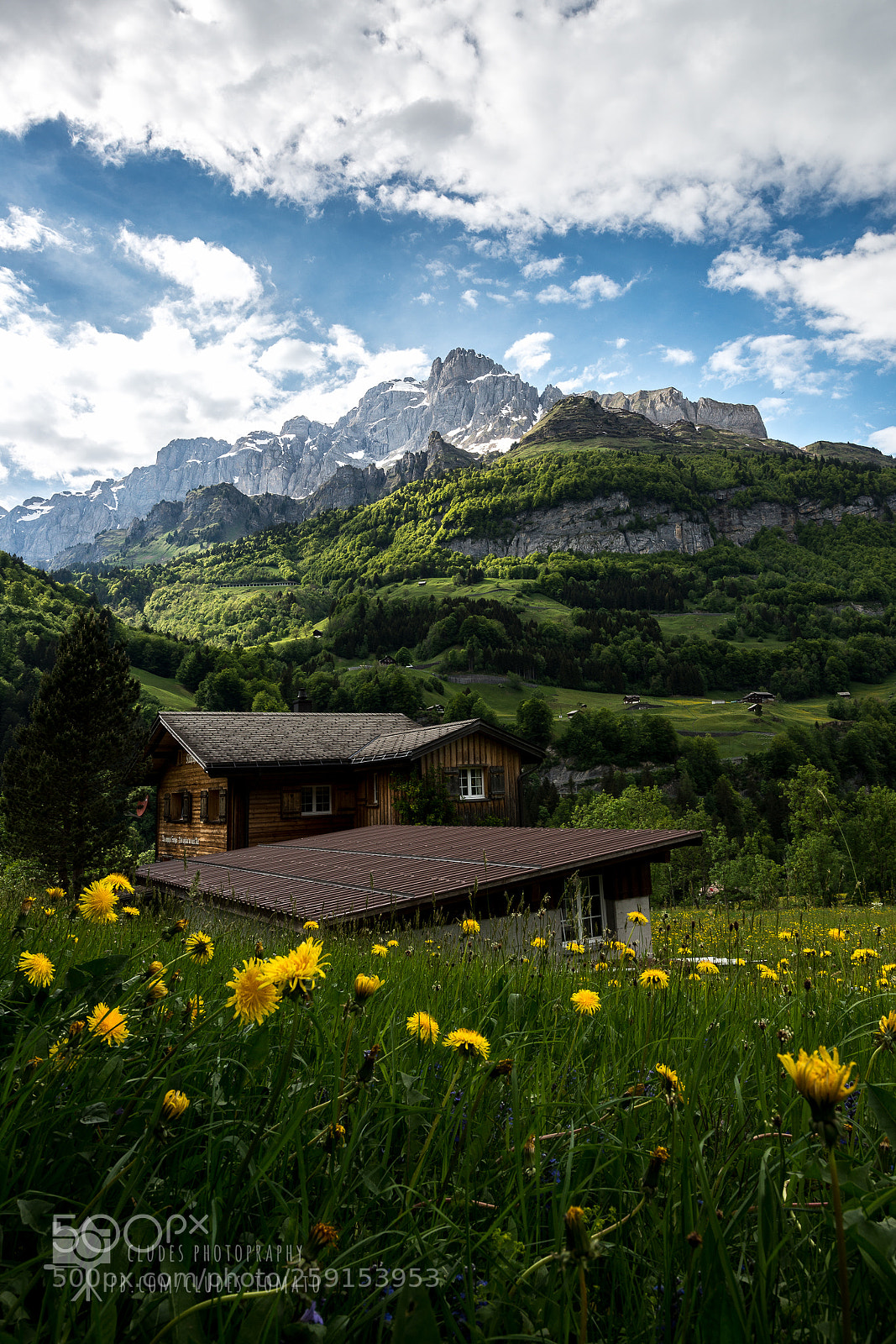Nikon D800 sample photo. Personal comfort zone photography