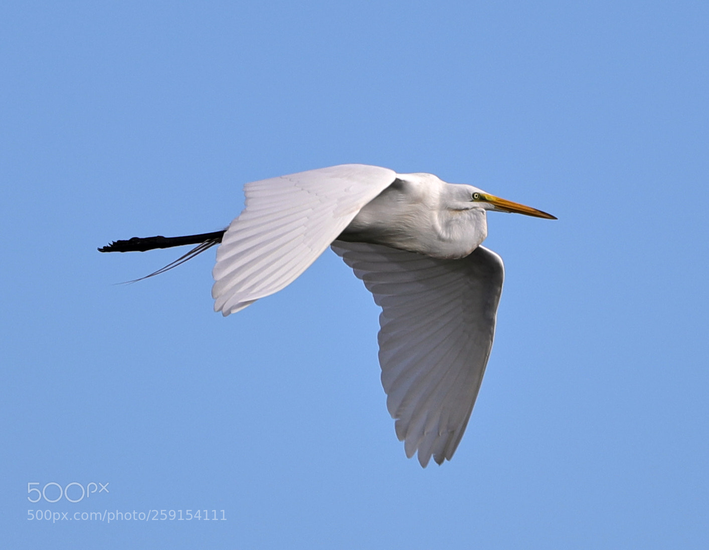 Canon EOS-1D X Mark II sample photo. 05-23-18-0019394.jpg photography