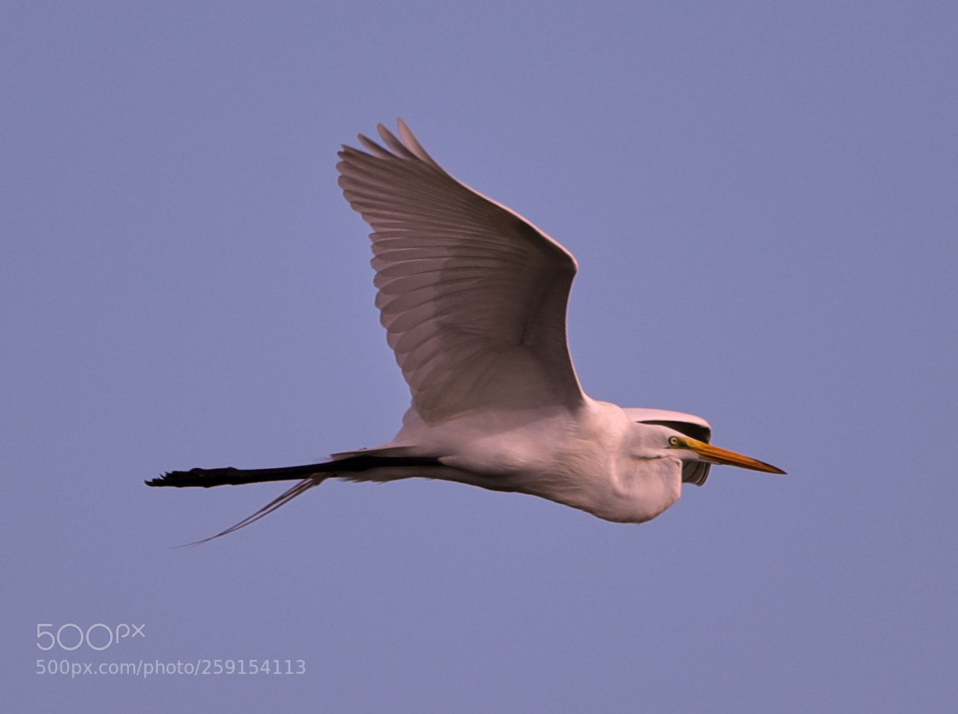 Canon EOS-1D X Mark II sample photo. 05-23-18-0019393.jpg photography